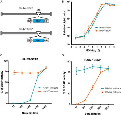 Seroprevalence of Neutralizing Antibodies to Human Adenovirus Type 4 and 7 in Healthy Populations From Southern China